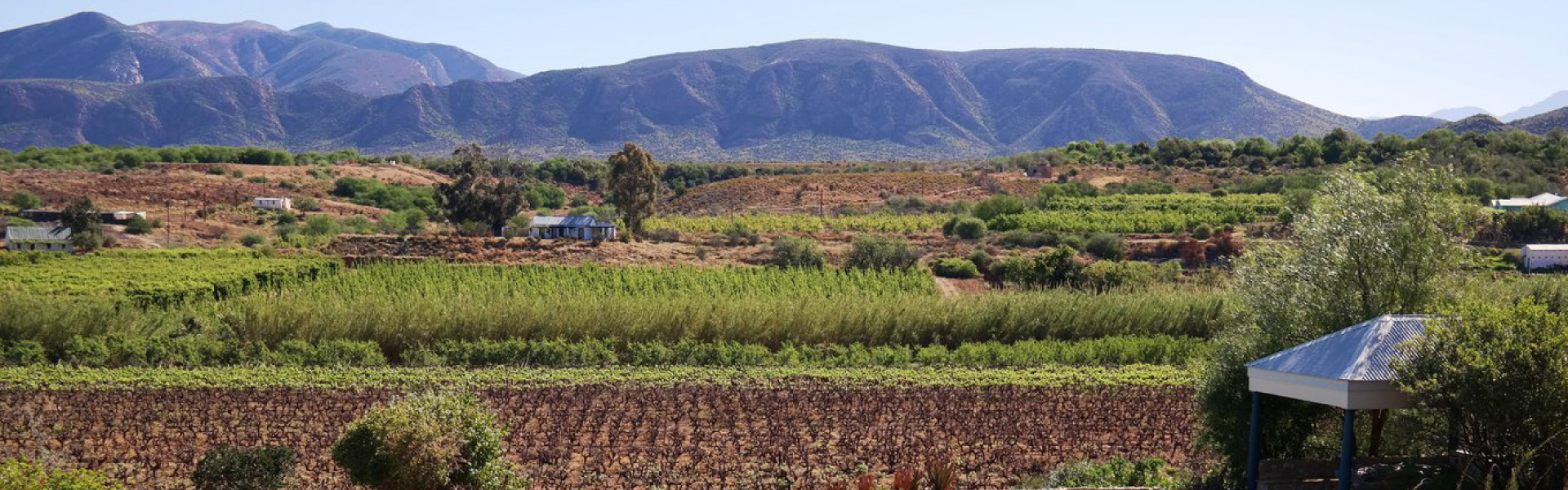 Calitzdorp